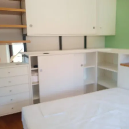 Oasi